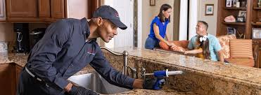 Pest Control for Restaurants and Food Service in Giddings, TX